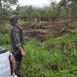 Mata degradada em Mongaguá rende multa acima de R$ 58 mil