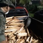 Dupla é presa e multada em mais de R$ 150 mil por crime ambiental