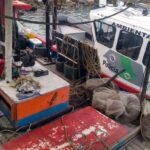 Cerca de 400 Kg de camarão são apreendidos em Bertioga