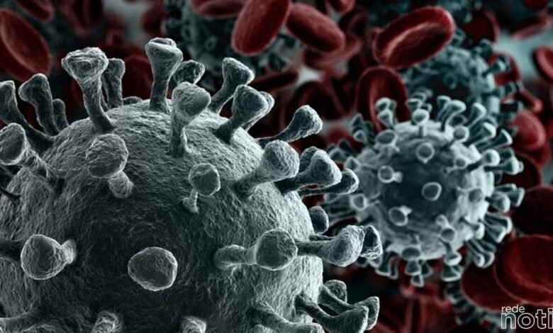 Brasil passa de 20 milhões de casos de Covid-19