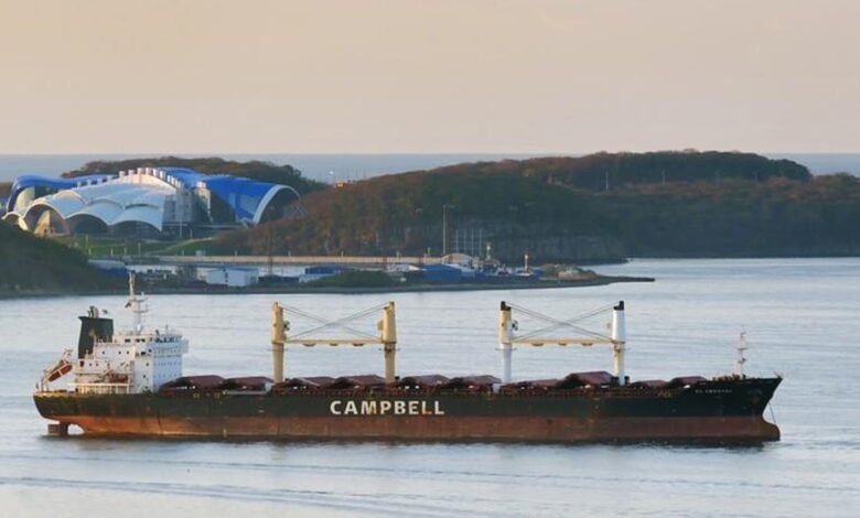 Três tripulantes de navio estão com variante delta no Porto de Santos