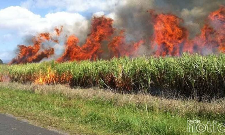 Uma Usina de cana de açúcar recebeu multa de mais de meio milhão de reais por realizar queimadas. Em patrulhamento ambiental a equipe de Policia