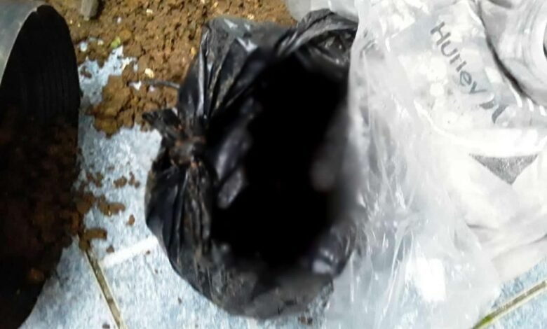 Mãe enterra o bebê em vaso em Ubatuba