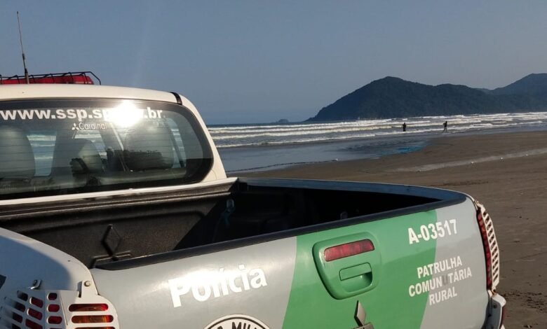 Filhote de tubarão é resgatado durante operação contra pesca irregular no Litoral