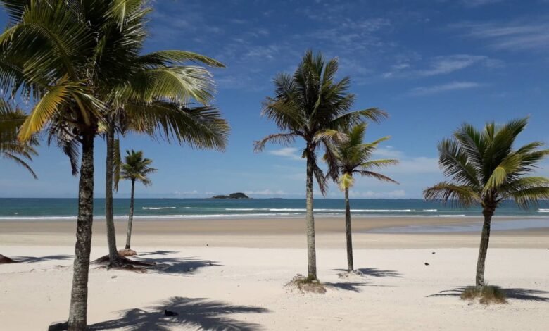 Banhista entra no mar de Guarujá e desaparece