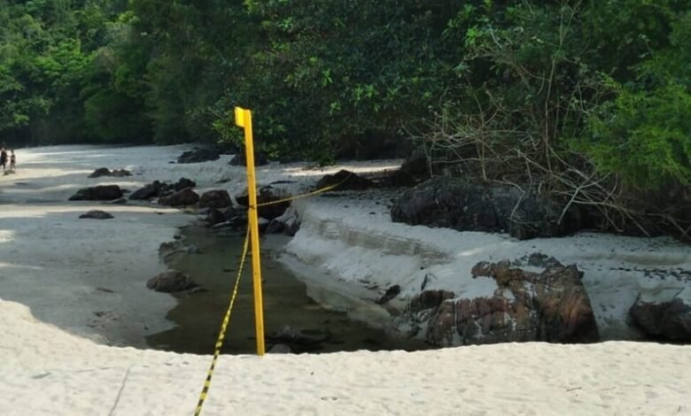 Empresa dona do caminhão que derramou diesel em São Sebastião leva multa de R$ 50 mil