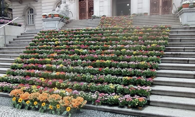 Santos dá as boas vindas para a primavera