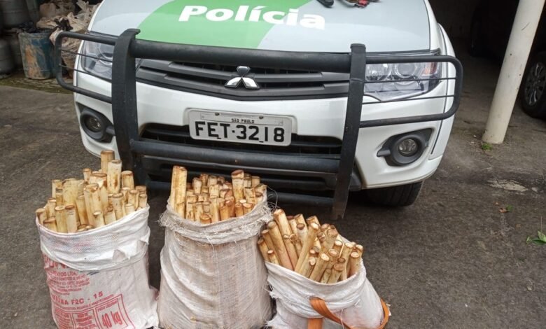 Polícia Ambiental multa em mais de R$ 500 mil trio que extraiu palmito no Interior de SP