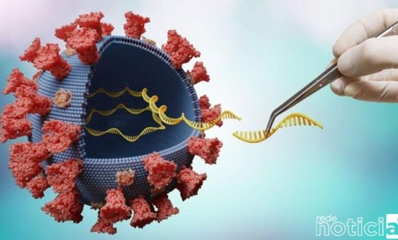 Nova variante da Covid-19 é descoberta na Africa e preocupa especialistas