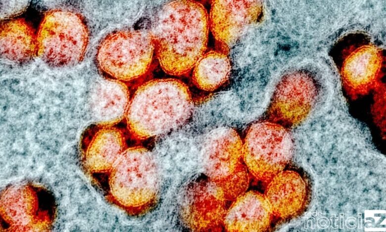 Covid-19: Ômicron já está presente em 12 países