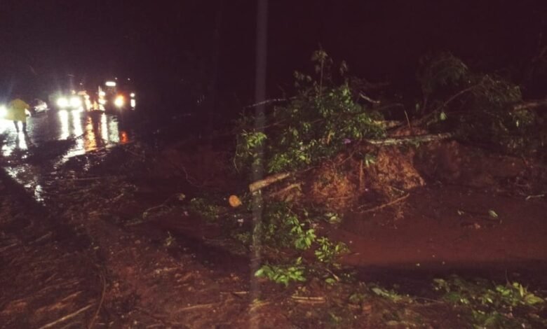 Rio-Santos sofre com queda de barreira e pista é interditada por duas horas