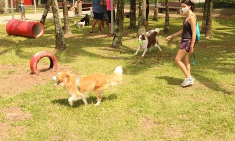 Orla de Santos tem espaço para os pets