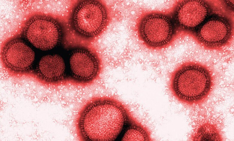 Segunda morte por Influenza A H3N2 é registrada no Litoral