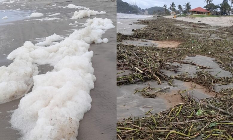 Espuma e vegetação dão as caras em praia de Itanhaém