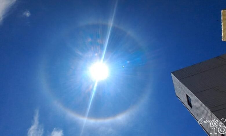 Halo Solar