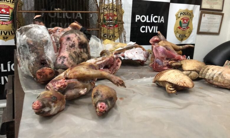 Animais abatidos dentro de residência são encontrados no Interior de SP