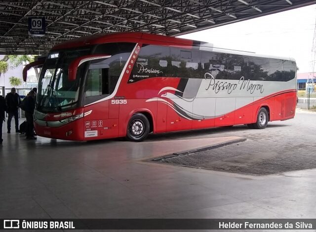 Empresa de ônibus deve garantir viagens gratuitas a idosos em Caraguatatuba, diz Justiça