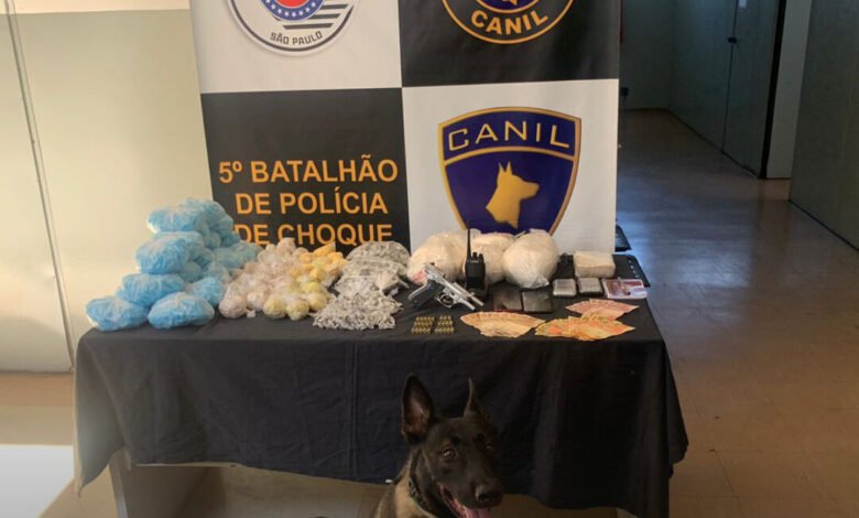 Canil da PM ajuda na apreensão de drogas e na prisão de um suspeito em Santos