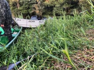 Caçador ilegal é preso pela Polícia Ambiental em Iguape