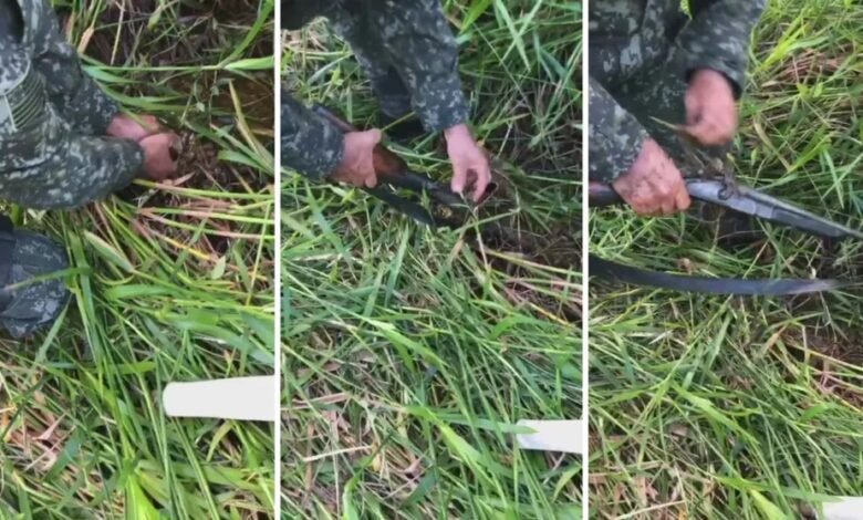 Caçador ilegal é preso pela Polícia Ambiental em Iguape