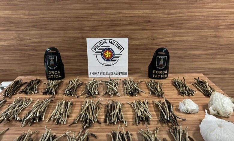 Grande quantidade de drogas é apreendida em morro de Santos