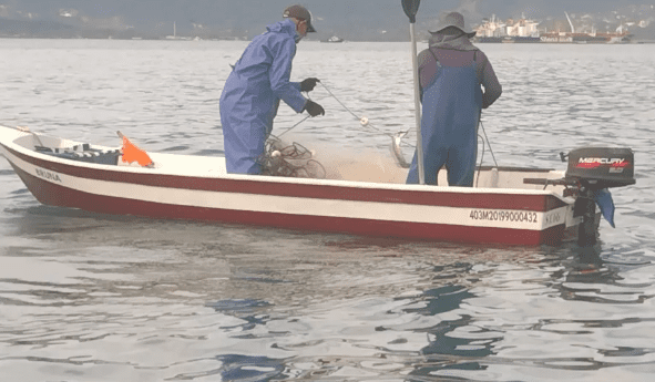 Polícia Ambiental multa em R$ 4 mil dupla por pesca irregular em São Sebastião