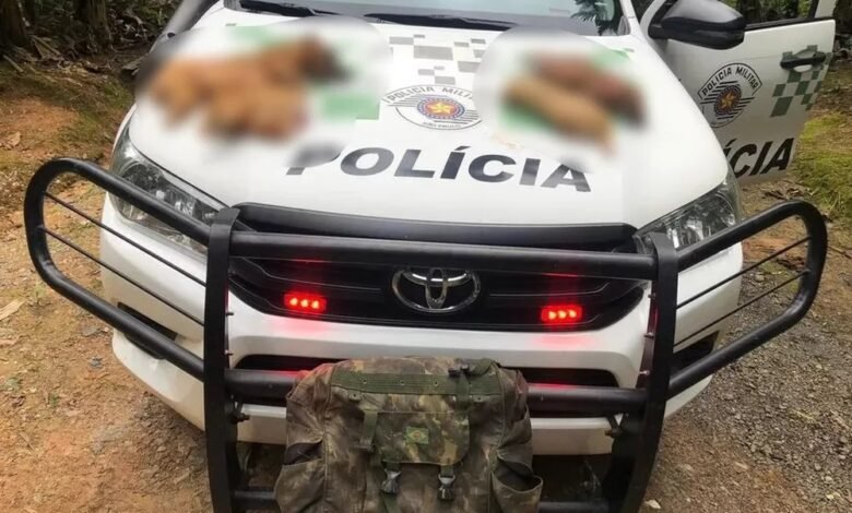 Polícia multa abatedores de Animais em Cajati