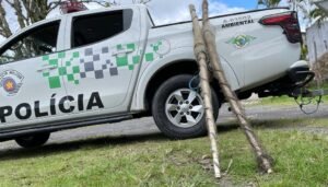 Polícia Militar Ambiental flagra pesca irregular em Cananéia