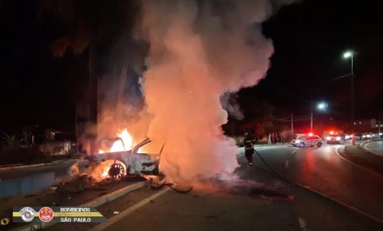 Carro bate em coqueiro e pega fogo
