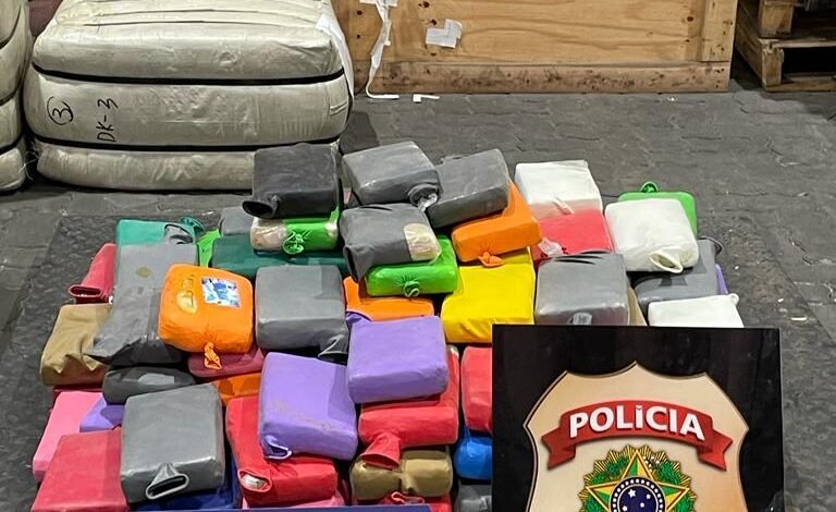 Polícia e Receita Federal apreendem drogas em contêiner em Santos