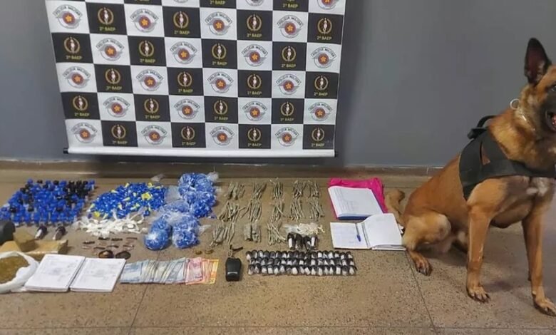 Criminoso é preso em conjunto habitacional em São Vicente