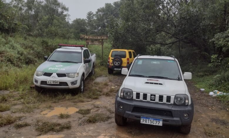 Polícia Militar Ambiental apreende Palmito Juçara "In Natura" em Bertioga