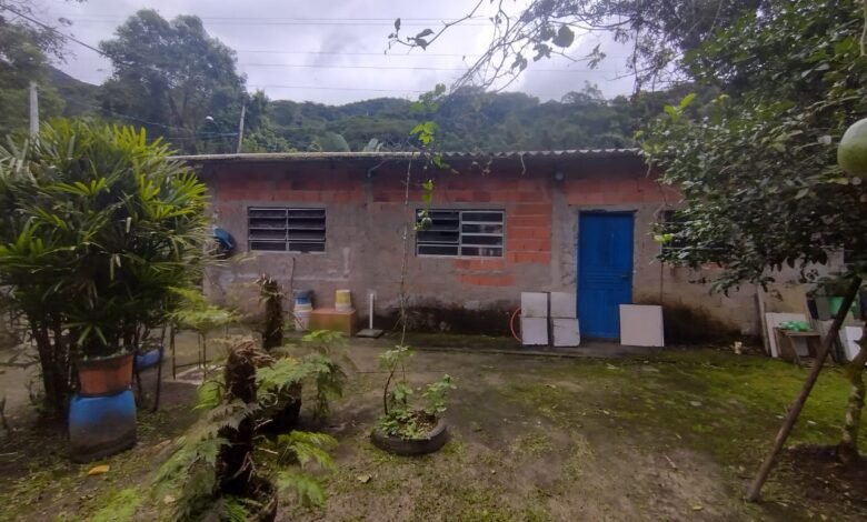 Polícia Ambiental multa morador de Bertioga por construir em área ilegal