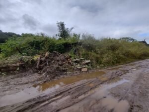 Polícia Ambiental multa morador de Bertioga por construir em área ilegal