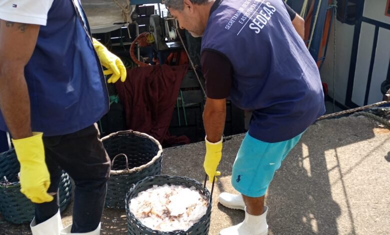 Polícia Militar Ambiental apreende 325kg de Camarão em Praia Grande