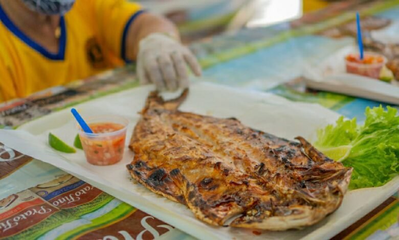 Começa em Bertioga a 45ª Festa da Tainha