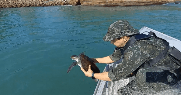 Tartaruga é resgatada após ficar presa em rede de pesca em Ubatuba