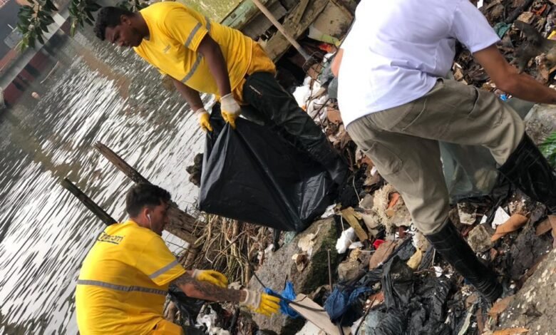 Mutirão retira cerca de cinco toneladas de resíduos de manguezais, em Guarujá