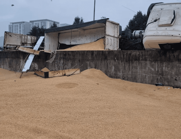 Avenida Perimetral de Santos é tomada por farelo de soja após acidente