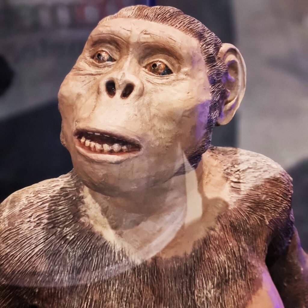 Shopping Parque Balneário recebe Exposição Caminhos da Evolução Experiência