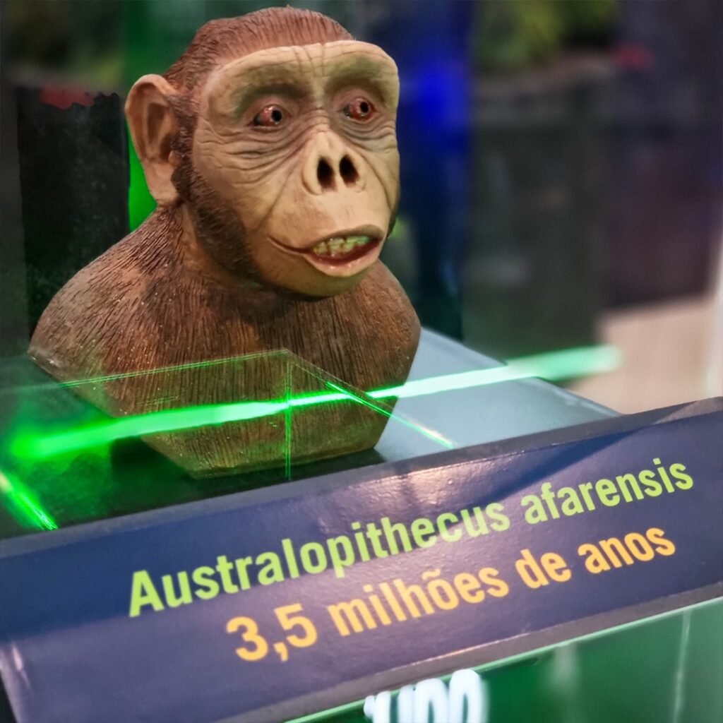 Shopping Parque Balneário recebe Exposição Caminhos da Evolução Experiência