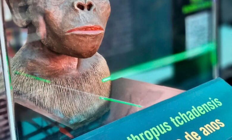 Shopping Parque Balneário recebe Exposição Caminhos da Evolução Experiência