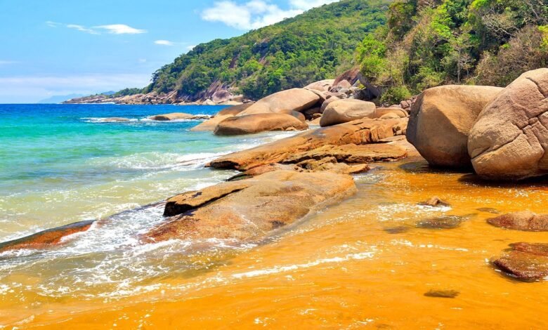 Festival do Mar conscientiza sobre a falta de cuidados com mares e oceanos