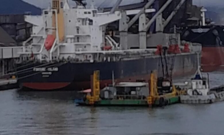 Tripulante de navio da Nigéria é diagnosticado com malária no Porto de Santos