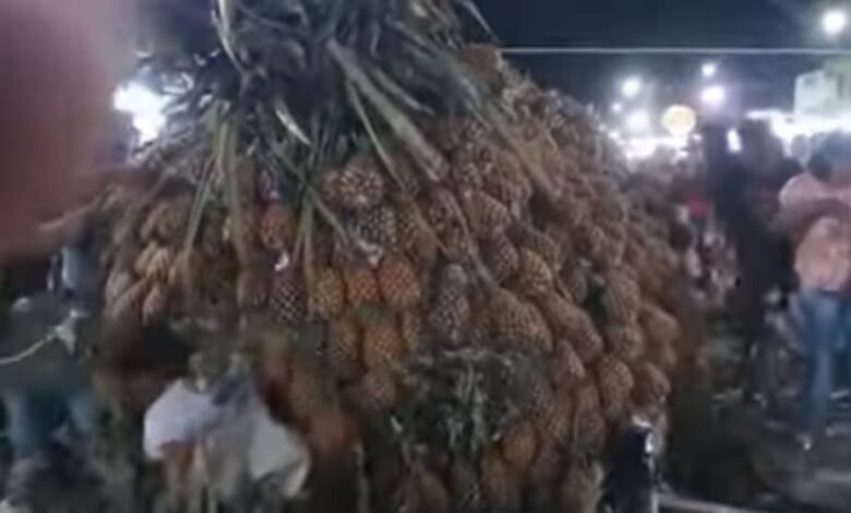 Vídeo: escultura de abacaxi gigante desaba sobre público durante festa