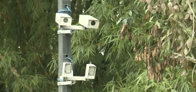 Pela quarta vez, taxa de cobrança ambiental de Ubatuba é adiada