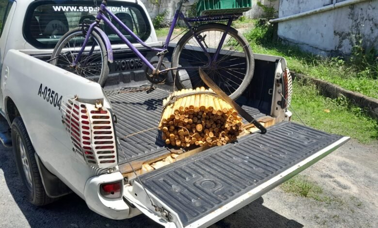 Polícia Ambiental apreende Palmito irregular em Cananéia