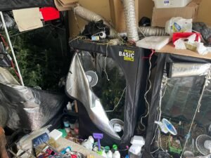 Polícia Civil prende homem que cultivava maconha em residência em Praia Grande