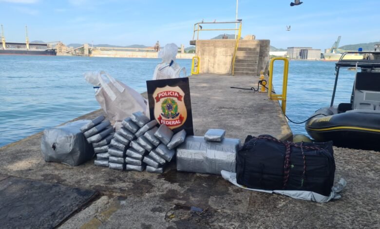 Combate ao tráfico internacional de drogas é realizado no Porto de Santos