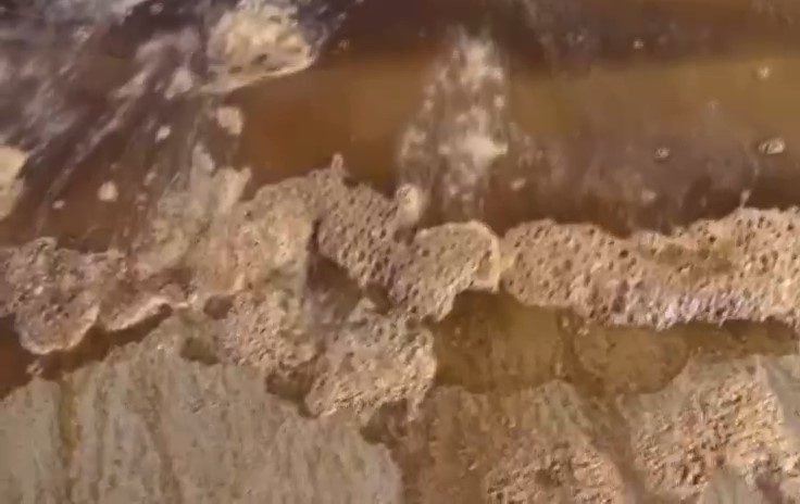 VÍDEO - Manchas marrom e com forte odor tomam conta da orla de Praia Grande
